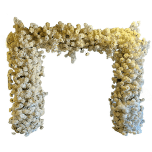 A white floral rectangular arch
